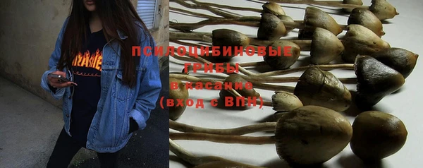 мяу мяу мука Богородск